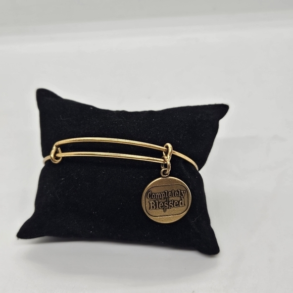 Alex and Ani expandable bangle bracelet gold tone Completely Blessed - Picture 1 of 4